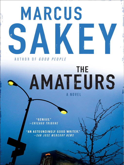 Cover image for The Amateurs